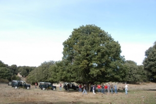  Descubriendo el territorio.JPG 